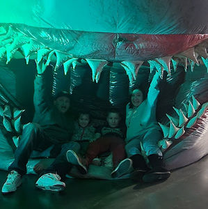 Meet your Posher, Roy